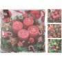 XMAS КОЛЕДНИ САЛФЕТКИ 33/33 СМ 16 БР. АСОРТИ