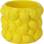 TUTTI FRUTTI LEMON КАШПА ЛИМОНИ 16.5/16.5/14 СМ