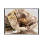 GILDED PEONY КАРТИНА С РАМКА 60/80 СМ