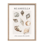 SHELLS КАРТИНА С РАМКА 30/40 СМ