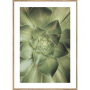 GREEN КАРТИНА 50/70 СМ