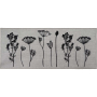 HERBIER ПЪТЕКА 50/120 CM