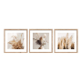 SUBTLE NATURE СЕТ 3 БР. КАРТИНИ 30/30 СМ