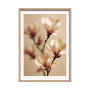 SOFT MAGNOLIA КАРТИНА С РАМКА 50/70 СМ