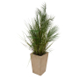 WONJ ИЗКУСТВЕНА ПАЛМА В КЕРАМИЧНА КАШПА 142 СМ
