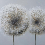 PUSTEBLUME МАСЛЕНА КАРТИНА 85/85 СМ