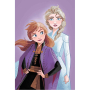 FROZEN ОДЕЯЛО 100/150СМ