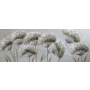 BLUMEN МАСЛЕНА КАРТИНА 150/55 CM