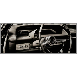 AUTO КАРТИНА 50/125 СМ