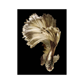 GOLDFISH КАРТИНА 60/80 СМ