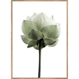 GREEN КАРТИНА 50/70 СМ