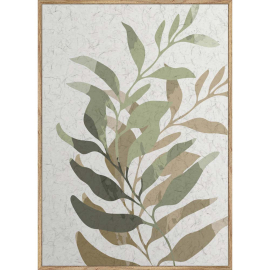 PLANTS КАРТИНА 50/70 СМ