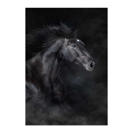 ETALON КАРТИНА 70/100 СМ