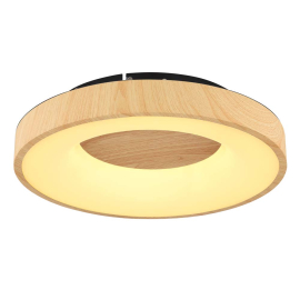 LED CEILING LIGHT 31W 2700-6000K