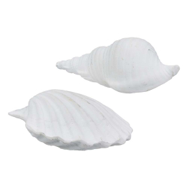 SHELL ДЕКО МИДА/РАПАН 19/7/6 СМ АСОРТИ
