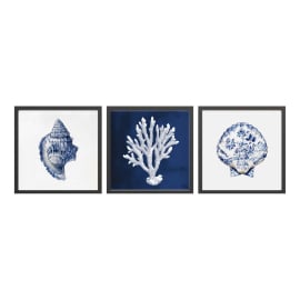 SEA TREASURES СЕТ 3 БР. КАРТИНИ 30/30 СМ