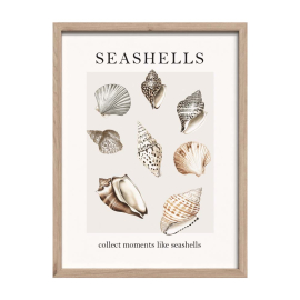 SHELLS КАРТИНА С РАМКА 30/40 СМ