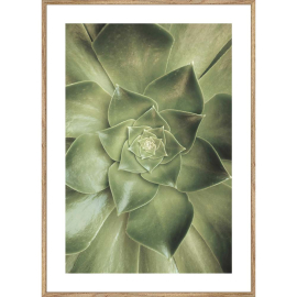 GREEN КАРТИНА 50/70 СМ