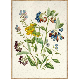 FLOWERS КАРТИНА 50/70 СМ