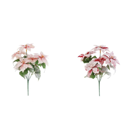 КОЛЕДНА ЗВЕЗДА НА КЛОНЧЕ