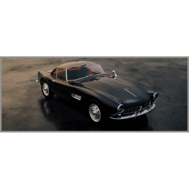 AUTO КАРТИНА 50/125 СМ