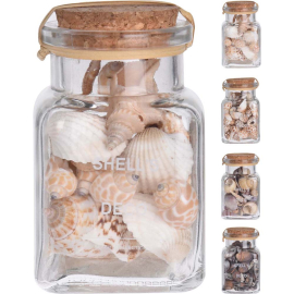 SHELLS ДЕКОРАТИВНИ МИДИ В БУРКАН 5.5/9 СМ АСОРТИ