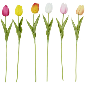 COTTAGE SPRING ЛАЛЕ 36 СМ АСОРТИ