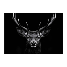 CERVUS КАРТИНА 85/113 СМ