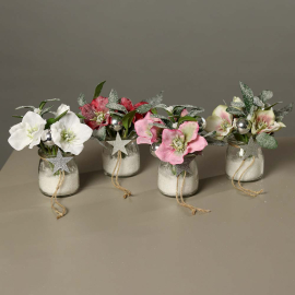 КОЛЕДНО ЦВЕТЕ В БУРКАН 17 СМ АСОРТИ