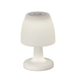 LED НАСТОЛНА ЛАМПА 2W+1W RGB