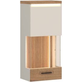 СТЕННА ВИТРИНА МОДЕНА С LED-ОСВЕТЛЕНИЕ 45/35,6/103,6 СМ