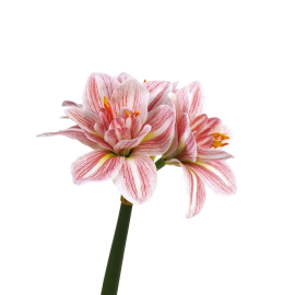 AMARYLLIS СТРЪК ИЗКУСТВЕНО ЦВЕТЕ АМАРИЛИС 62 СМ