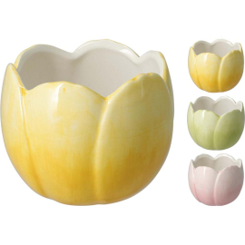 SPRING КАШПА ЛАЛЕ 9 СМ АСОРТИ