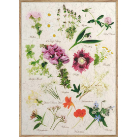 FLOWERS КАРТИНА 50/70 СМ