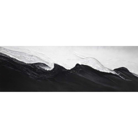 BLACK AND WHITE КАРТИНА 150/50 СМ
