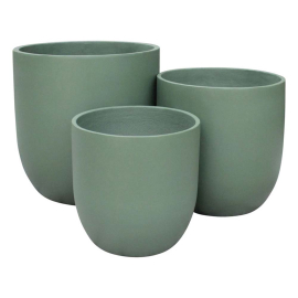 СРЕДНА ЗЕЛЕНА ГРАДИНСКА КАШПА