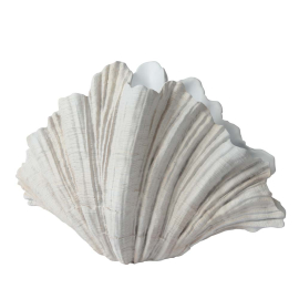 SHELL ВАЗА 31/57/36 СМ