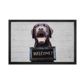 IMAGE WELCOME DOG ИЗТРИВАЛКА 40/60 СМ
