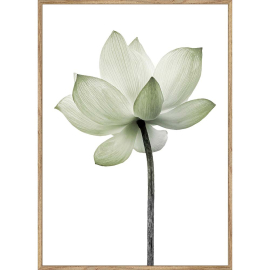GREEN КАРТИНА 50/70 СМ