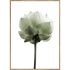 GREEN КАРТИНА 50/70 СМ - 