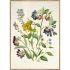 FLOWERS КАРТИНА 50/70 СМ - 