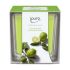 ESSENTIALS АРОМАТНА СВЕЩ LIME LIGHT 125ГР.
