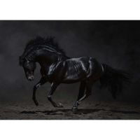 BLACK HORSE КАРТИНА 100/70 СМ - Картини канава