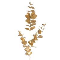 EUKALYPTUS ДЕКО КЛОНЧЕ 80 СМ - 