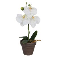 ОРХИДЕЯ ИЗКУСТВЕНО ЦВЕТЕ 12/26 CM БЯЛ - 