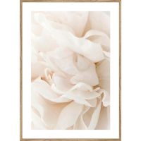 CREAM КАРТИНА 50/70 СМ - Картини канава