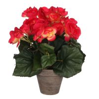 БЕГОНИЯ ИЗКУСТВЕНО ЦВЕТЕ 20/25 CM РОЗОВ - 