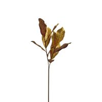 MAGNOLIA СТРЪК МАГНОЛИЯ-ЛИСТА 78 СМ - 
