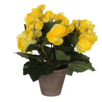 БЕГОНИЯ ИЗКУСТВЕНО ЦВЕТЕ 20/25 CM ЖЪЛТ - 