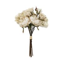 PEONY БУКЕТ БОЖУРИ 30 СМ - 